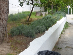 Projecte: L&#039;escola, camí a la natura