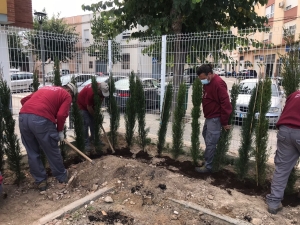 Millores en el centre