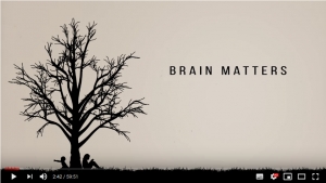 Brain matters