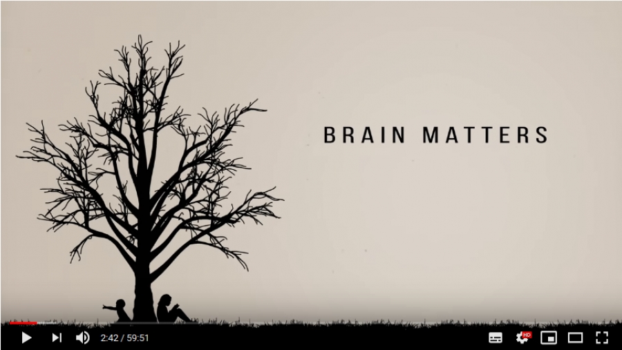 Brain Matters in Business by Jonathan Jordan