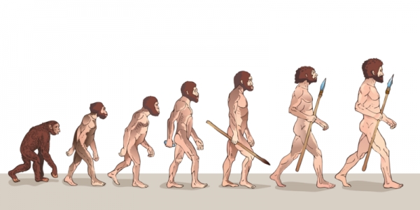 L&#039;EVOLUCIO HUMANA